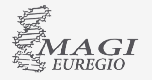 MAGI Group